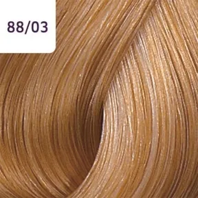 Wella Professionals Color Touch Plus 88/03 Intense Light Natural Gold Blonde 60ml