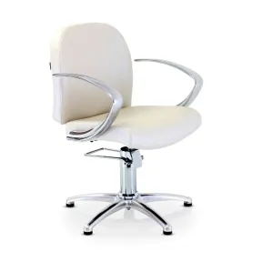 REM Evolution Salon Chair Colour Option