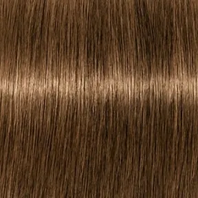 Schwarzkopf Professional Igora Royal Permanent Hair Colour 6-5 Gold Dark Blonde 60ml