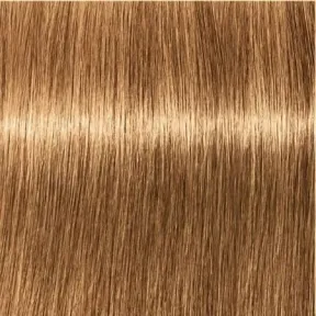 Schwarzkopf Professional Igora Royal Permanent Hair Colour 8-55 Gold Extra Light Blonde 60ml