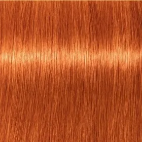 Schwarzkopf Professional Igora Royal Permanent Hair Colour 8-77 Copper Extra Light Blonde 60ml