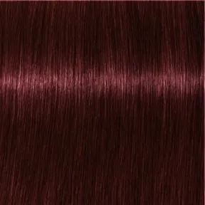 Schwarzkopf Professional Igora Royal Permanent Hair Colour 4-88 Red Extra Medium Brown 60ml