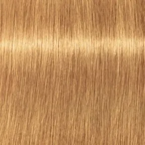 Schwarzkopf Professional Igora Royal Permanent Hair Colour 9-55 Gold Extra Extra Light Blonde 60ml