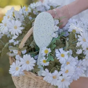 Framar Garden Party Detangle Brush - Blossom