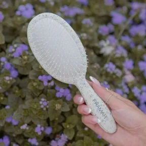 Framar Garden Party Detangle Brush - Blossom