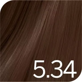 Revlon Professional Revlonissimo Color Excel Tone On Tone Ammonia Free Hair Colour 5.34 Light Golden Copper Brown 70ml