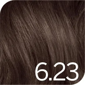 Revlon Professional Revlonissimo Color Excel Tone On Tone Ammonia Free Hair Colour 6.23 Dark Iridescent Golden Blonde 70ml