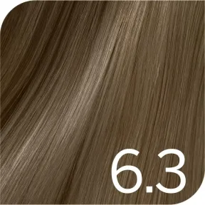 Revlon Professional Revlonissimo Color Excel Tone On Tone Ammonia Free Hair Colour 6.3 Dark Golden Blonde 70ml