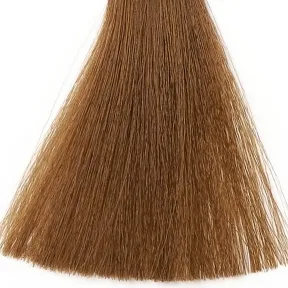 Silky Coloration Cream Permanent Hair Colour 8.31 Light Golden Ash Blonde 100ml