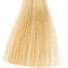 Silky Coloration Cream Permanent Hair Colour 10.31 Extra Light Golden Ash Blonde 100ml