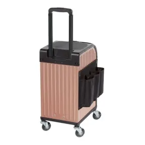 Sibel Rollercoaster Stool Case Rose Gold