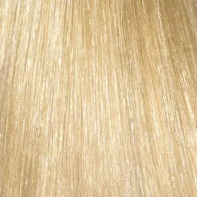 L'Oréal Professionnel INOA Permanent Hair Colour 10.01 Lightest Natural Ash Blonde 60ml