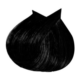 3DeLuXe Professional Permanent Hair Colour - 1.0 Black 100ml