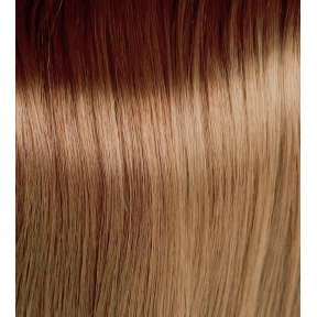 OSMO IKON Permanent Hair Colour 8.3 Light Golden Blonde 100ml