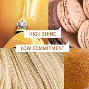 Wella Professionals Color Touch Semi Permanent Hair Colour 6/37 Dark Gold Brunette Blonde 60ml